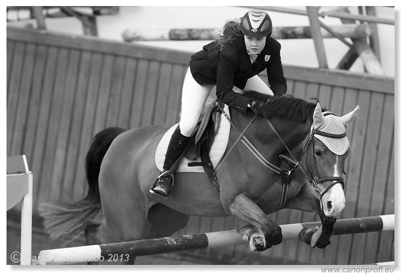 Zimn� liga 2013 - fin�le