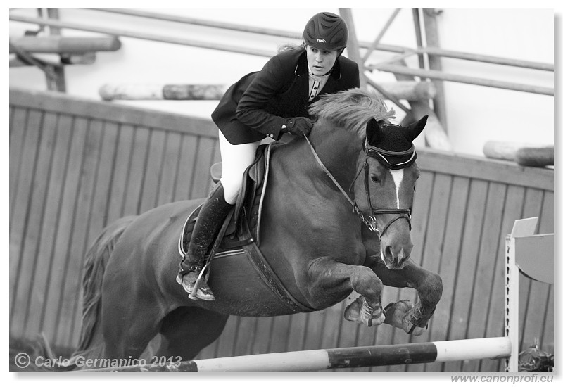 Zimn� liga 2013 - fin�le