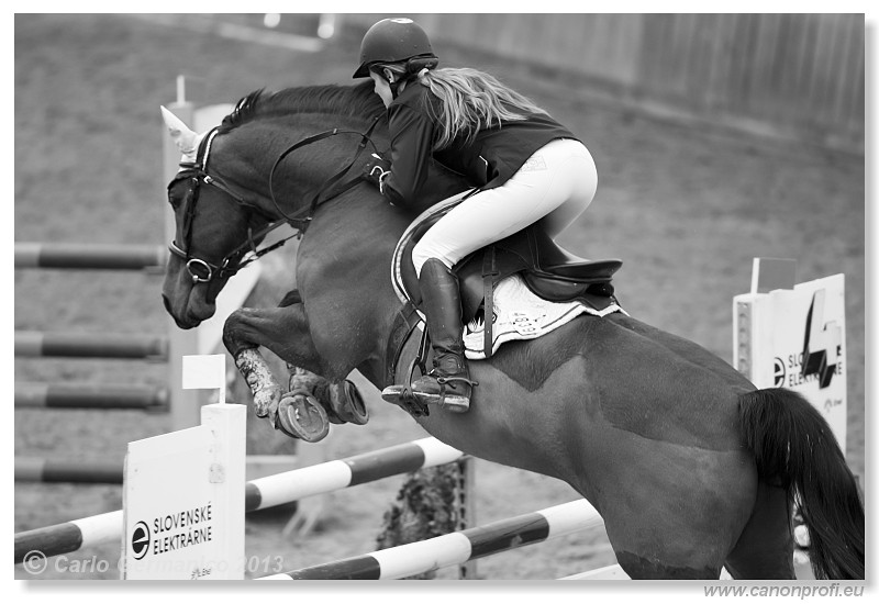 Zimn� liga 2013 - fin�le