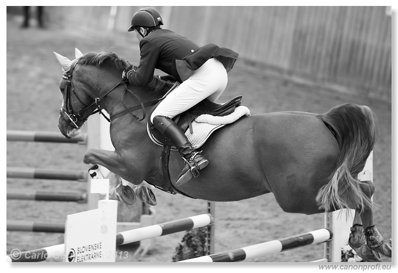 Zimn� liga 2013 - fin�le