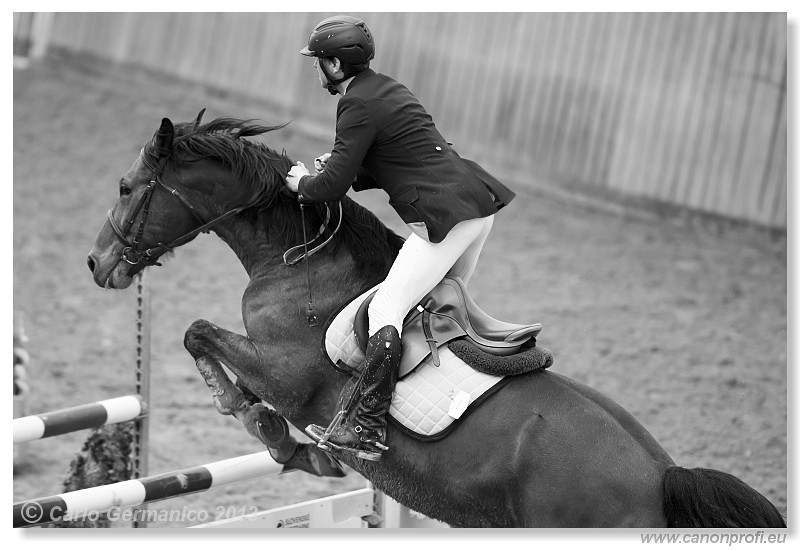 Zimn� liga 2013 - fin�le