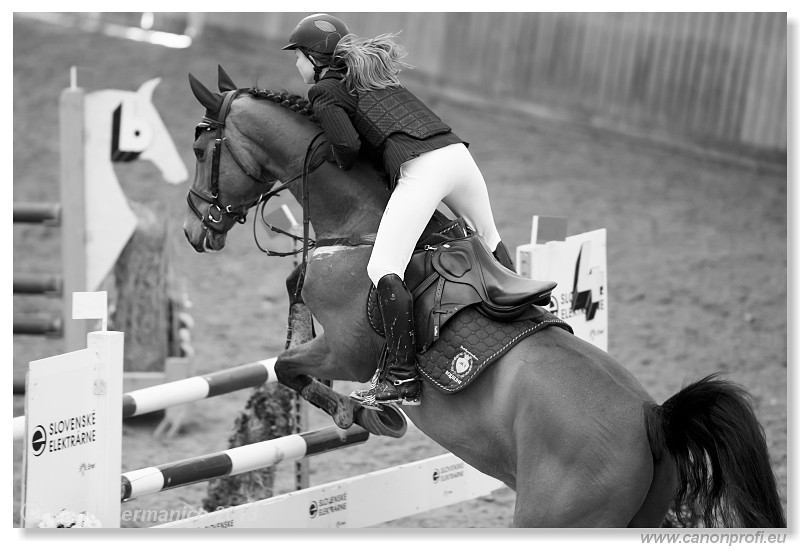 Zimn� liga 2013 - fin�le