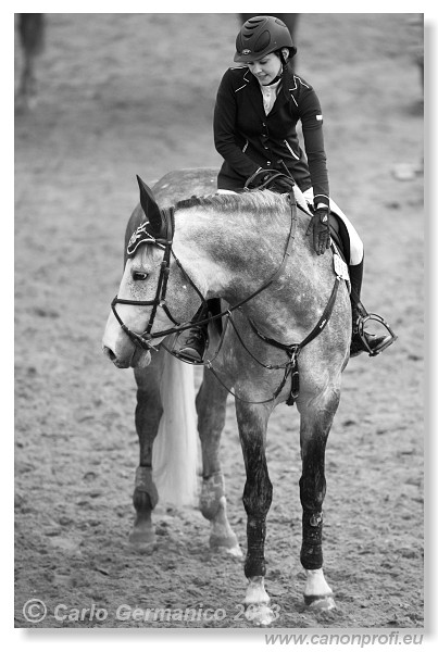 Zimn� liga 2013 - fin�le