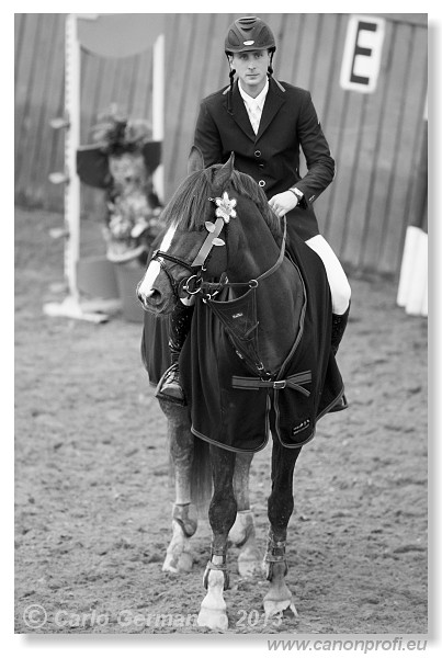 Zimn� liga 2013 - fin�le