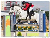 Grand Prix Juniors 