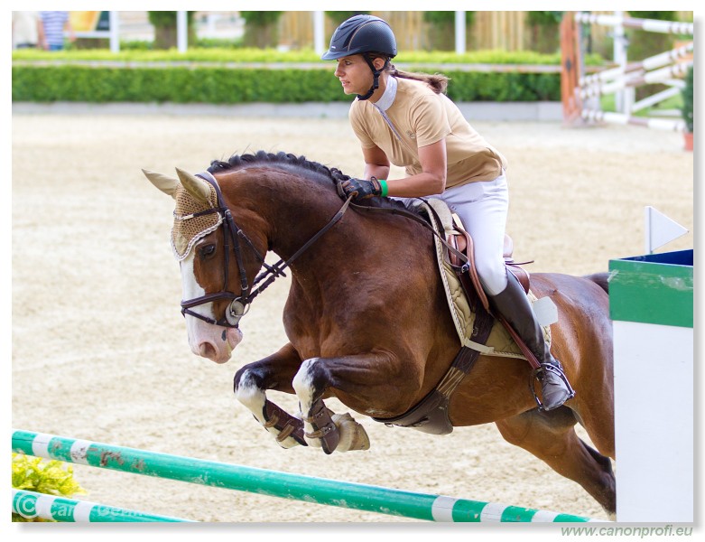 Poh�r n�rodov - Pezinok