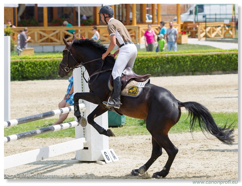 Poh�r n�rodov - Pezinok