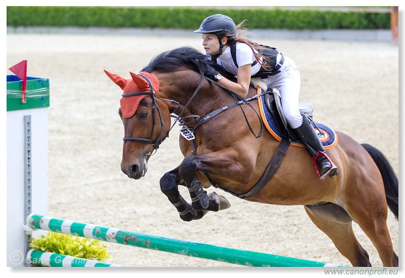 Poh�r n�rodov - Pezinok