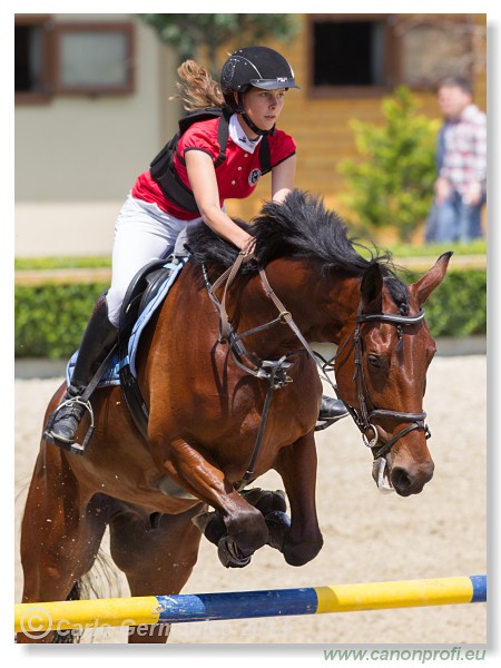 Poh�r n�rodov - Pezinok