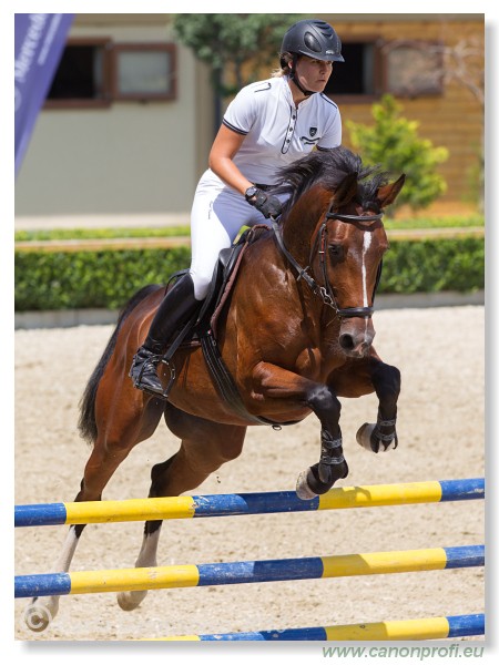 Poh�r n�rodov - Pezinok