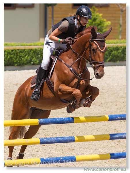 Poh�r n�rodov - Pezinok