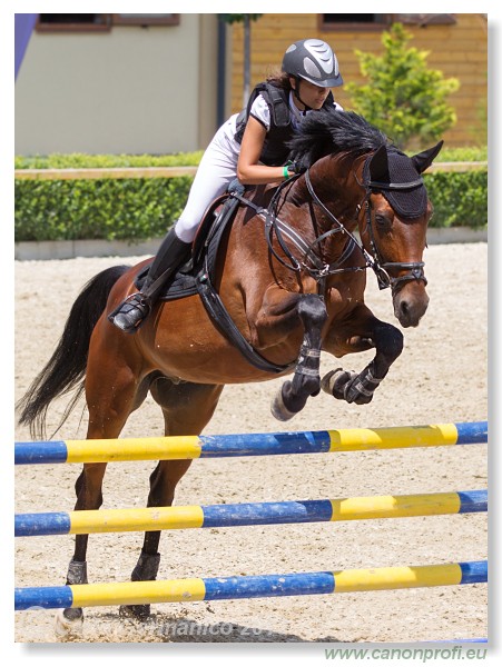 Poh�r n�rodov - Pezinok