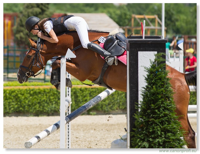 Poh�r n�rodov - Pezinok