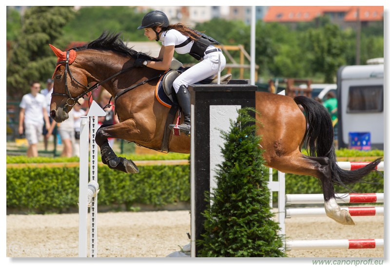 Poh�r n�rodov - Pezinok