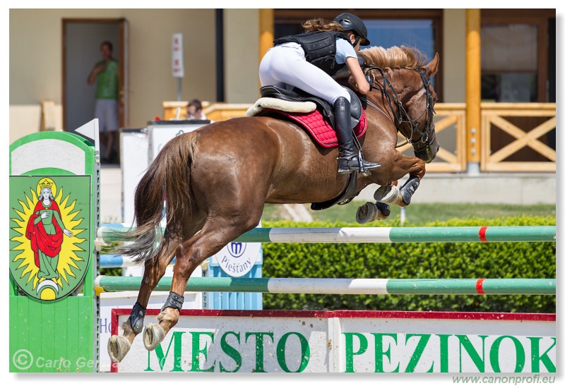 Poh�r n�rodov - Pezinok