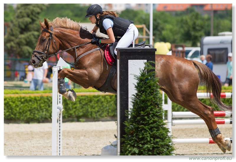 Poh�r n�rodov - Pezinok