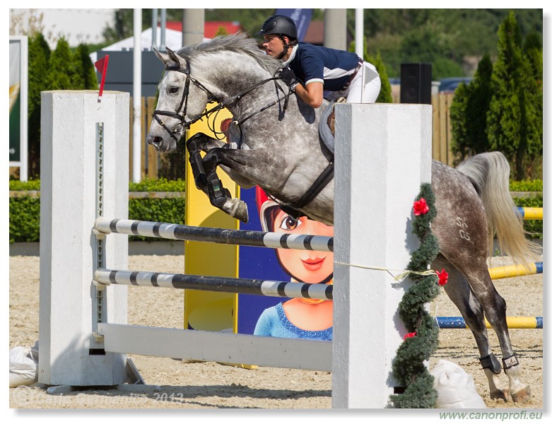 Poh�r n�rodov - Pezinok