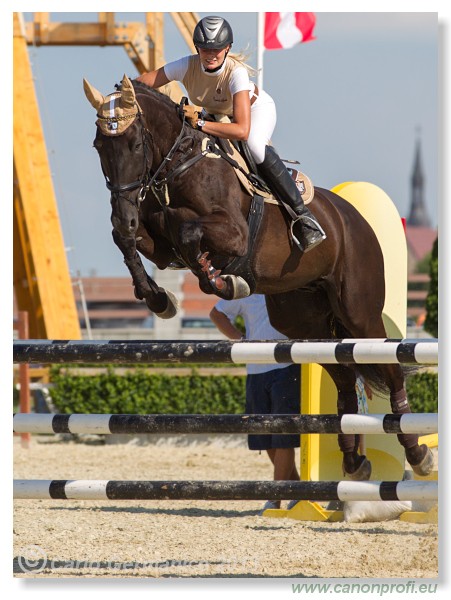 Poh�r n�rodov - Pezinok