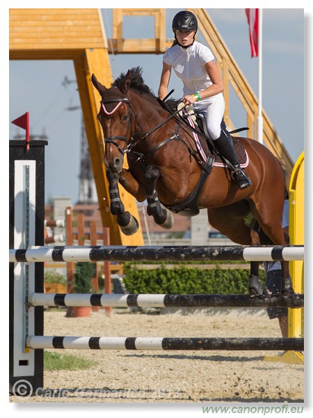 Poh�r n�rodov - Pezinok