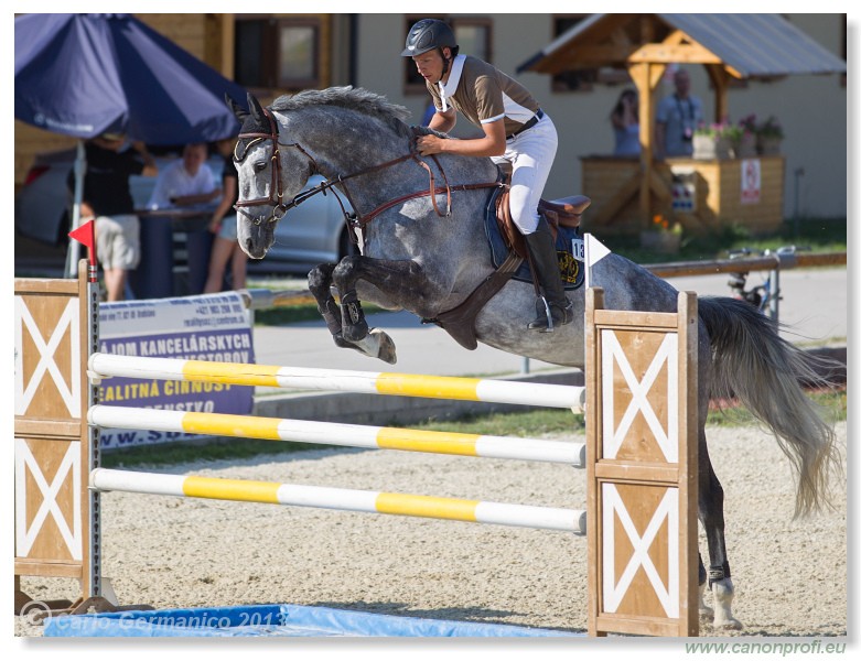 Poh�r n�rodov - Pezinok