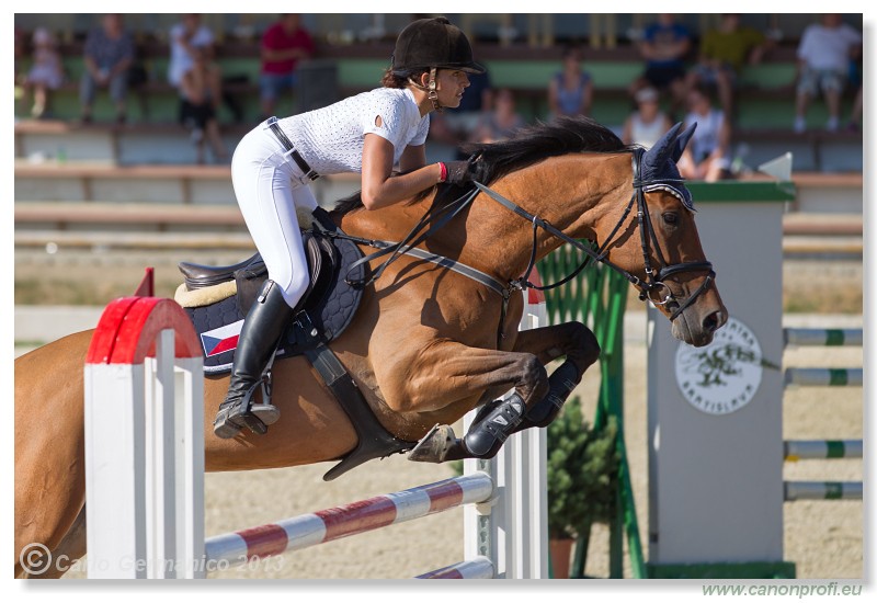 Poh�r n�rodov - Pezinok