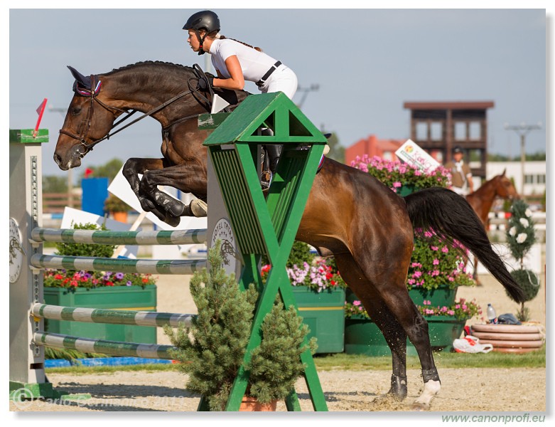 Poh�r n�rodov - Pezinok