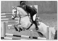 Zimn� liga 2012 - 4th Q