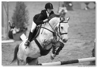 Zimn� liga 2012 - fin�le