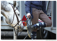 Zimn� liga 2012 - Bratislava