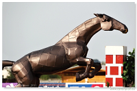 M SR 2011 v skoku na koni - Pezinok