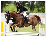 APART IV - MALLAT Maiju, FIN 