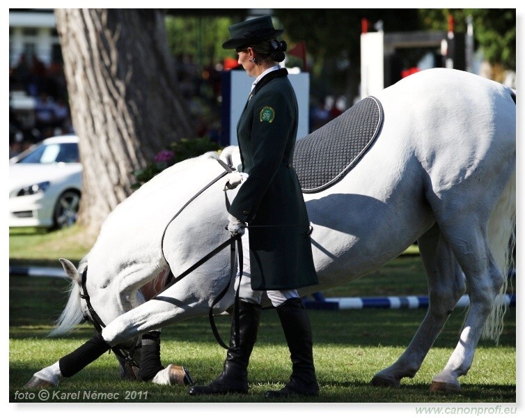 N� Topo��ianky