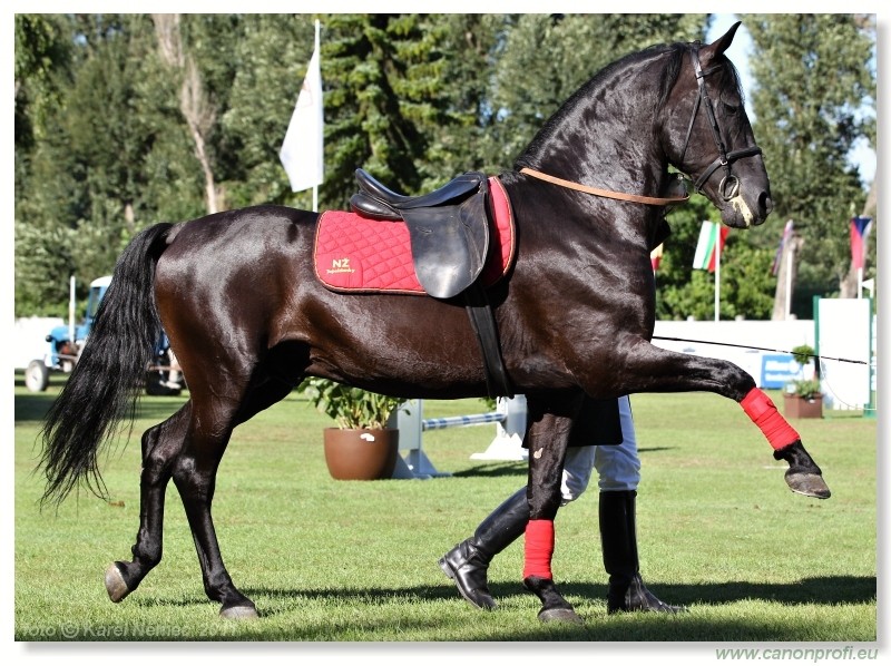 N� Topo��ianky