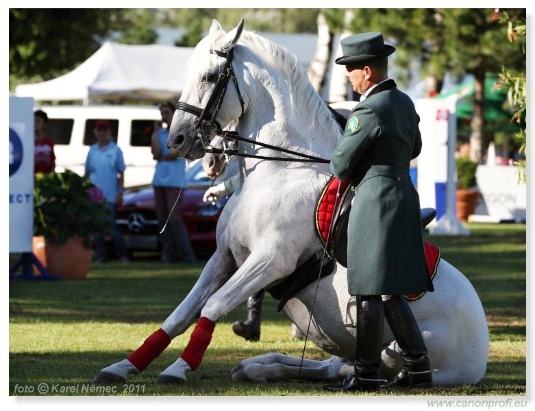 N� Topo��ianky