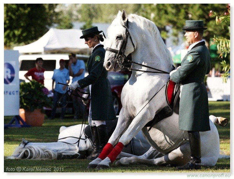 N� Topo��ianky