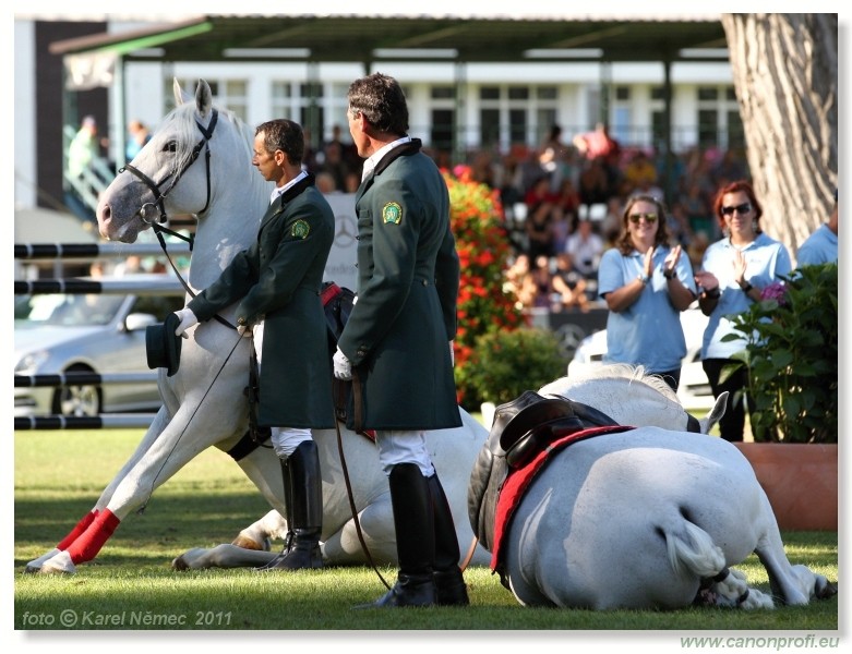 N� Topo��ianky