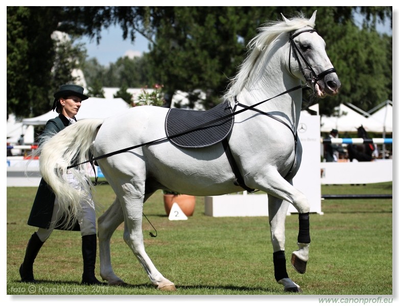 N� Topo��ianky