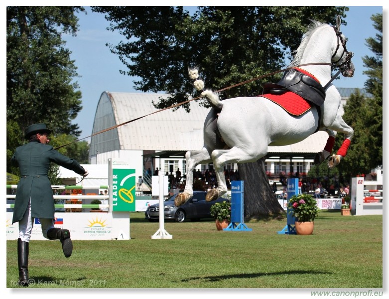 N� Topo��ianky