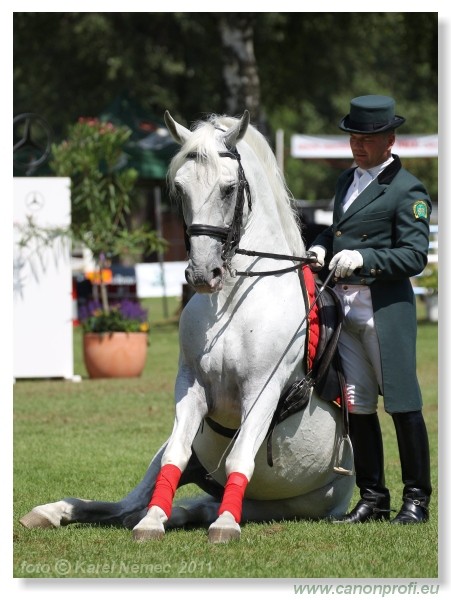 N� Topo��ianky