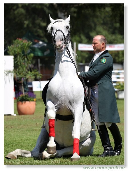 N� Topo��ianky