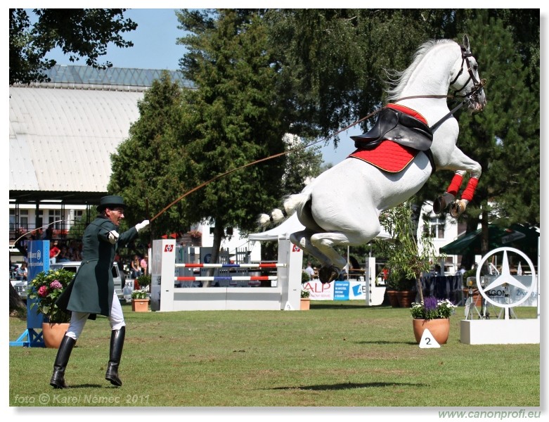 N� Topo��ianky