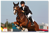 TAX-AUDIT Slovensko Grand Prix CSI* Pezinok