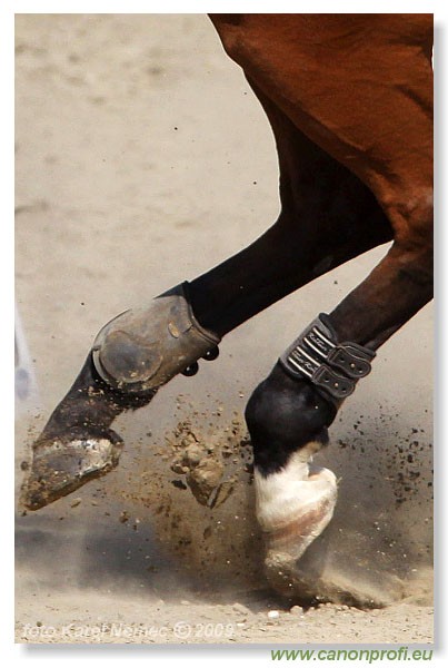 Miloslavov - 11. apr�la 2009 