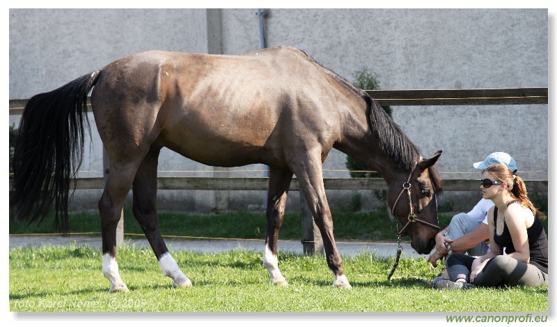 Miloslavov - 11. apr�la 2009 