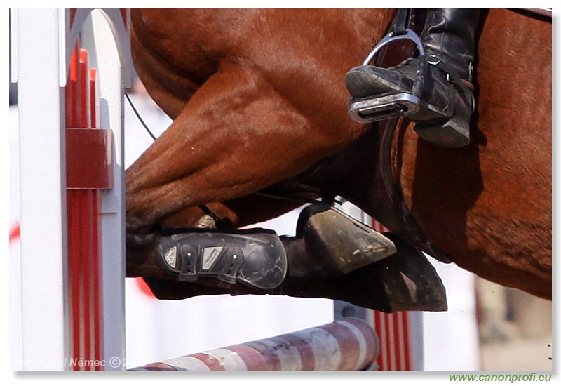 Miloslavov - 11. apr�la 2009 