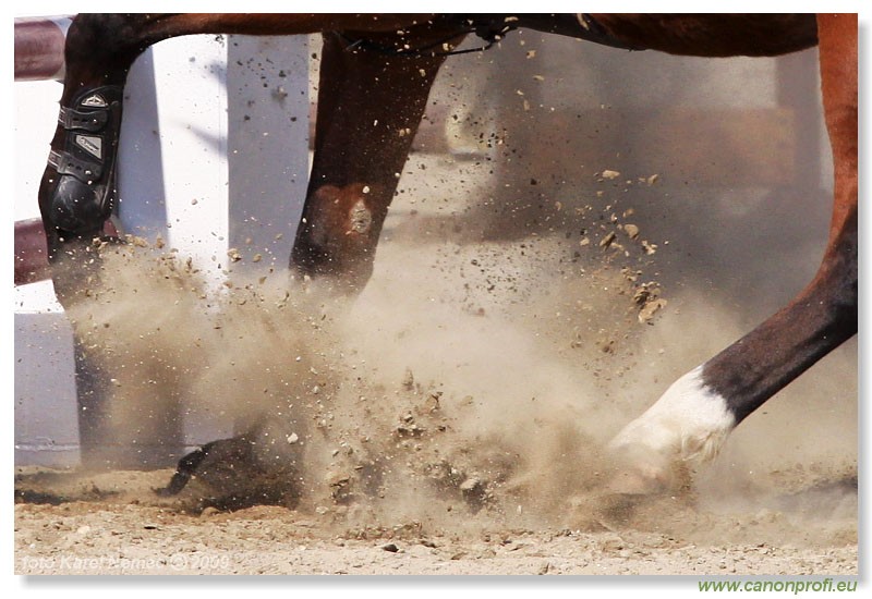 Miloslavov - 11. apr�la 2009 