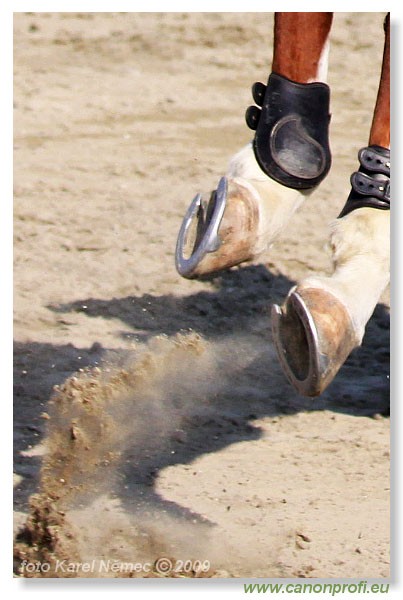 Miloslavov - 11. apr�la 2009 