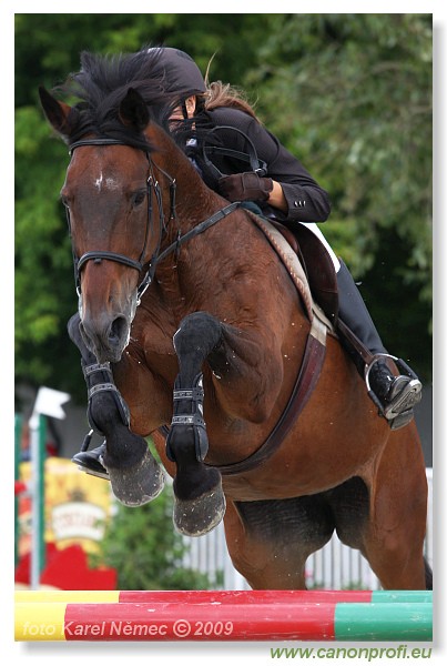 Bernol�kovo - 21. j�na 2009 