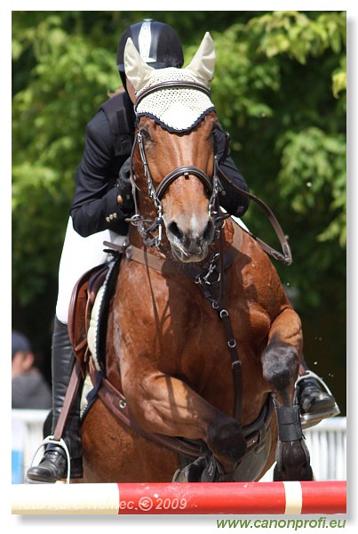 Bernol�kovo - 21. j�na 2009 