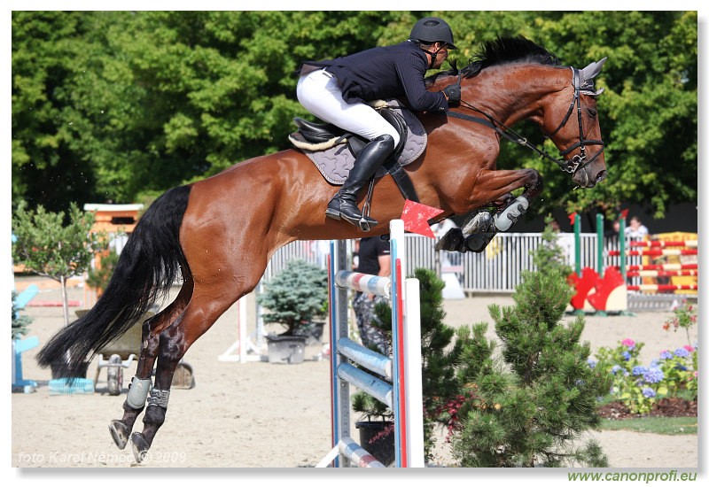 Bernol�kovo - 21. j�na 2009 